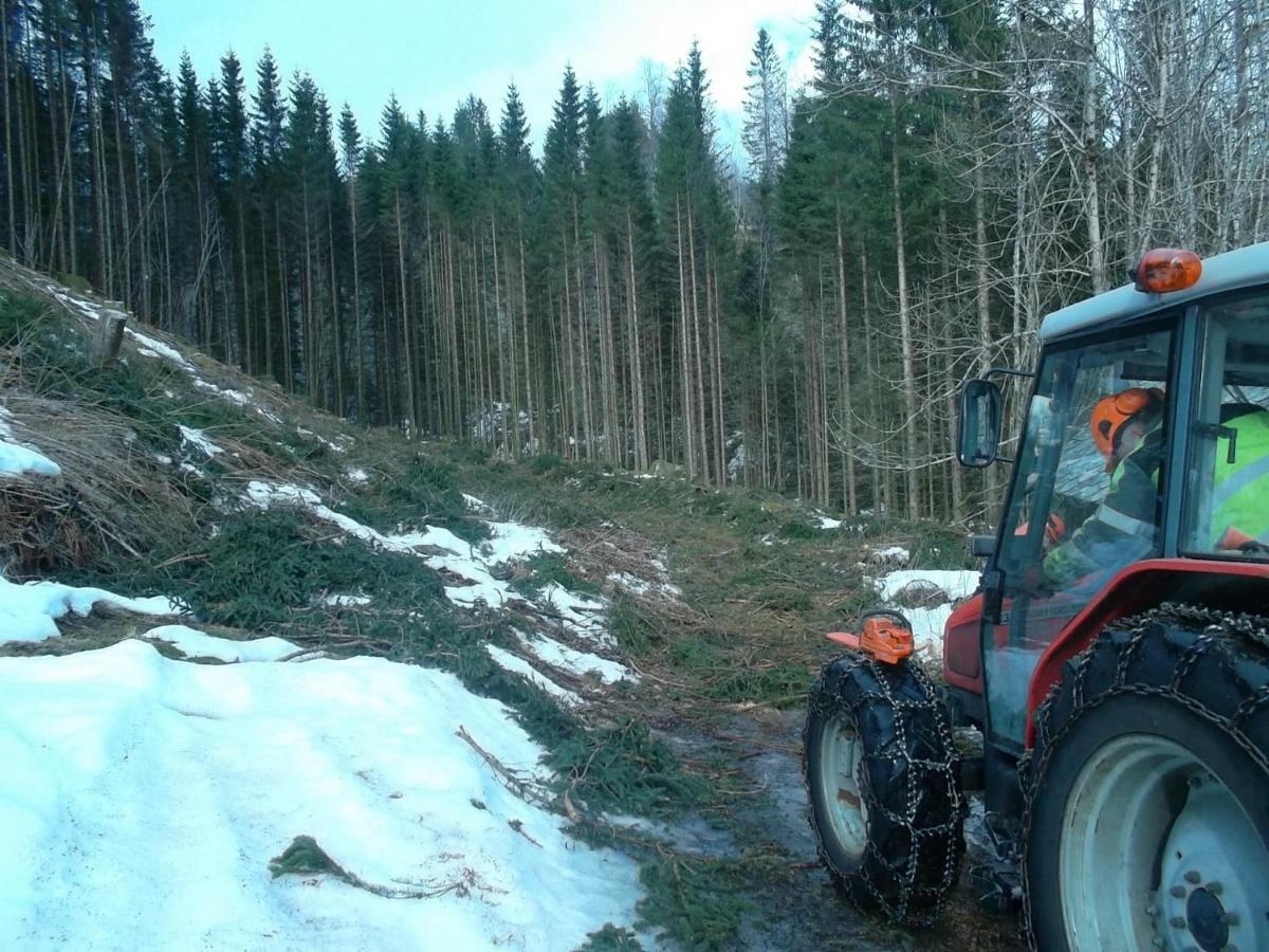 Mo Gardsferie Villa Øystese Exteriör bild